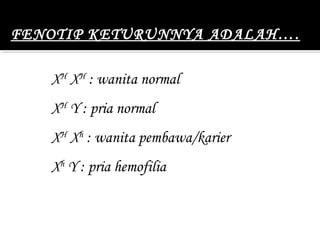 FENOTIP KETURUNNYA ADALAH….

   XH XH : wanita normal
   XH Y : pria normal
   XH Xh : wanita pembawa/karier
   Xh Y : pria hemofilia
 