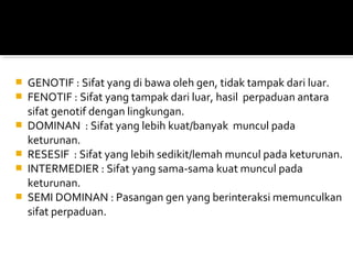    GENOTIF : Sifat yang di bawa oleh gen, tidak tampak dari luar.
   FENOTIF : Sifat yang tampak dari luar, hasil perpaduan antara
    sifat genotif dengan lingkungan.
   DOMINAN : Sifat yang lebih kuat/banyak muncul pada
    keturunan.
   RESESIF : Sifat yang lebih sedikit/lemah muncul pada keturunan.
   INTERMEDIER : Sifat yang sama-sama kuat muncul pada
    keturunan.
   SEMI DOMINAN : Pasangan gen yang berinteraksi memunculkan
    sifat perpaduan.
 