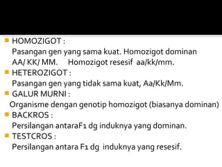  HOMOZIGOT :
  Pasangan gen yang sama kuat. Homozigot dominan
  AA/ KK/ MM. Homozigot resesif aa/kk/mm.
 HETEROZIGOT :
  Pasangan gen yang tidak sama kuat, Aa/Kk/Mm.
 GALUR MURNI :
 Organisme dengan genotip homozigot (biasanya dominan)
 BACKROS :
  Persilangan antaraF1 dg induknya yang dominan.
 TESTCROS :
  Persilangan antara F1 dg induknya yang resesif.
 