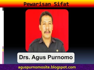 Pewarisan Sifat




Drs. Agus Purnomo
aguspurnomosite.blogspot.com
 