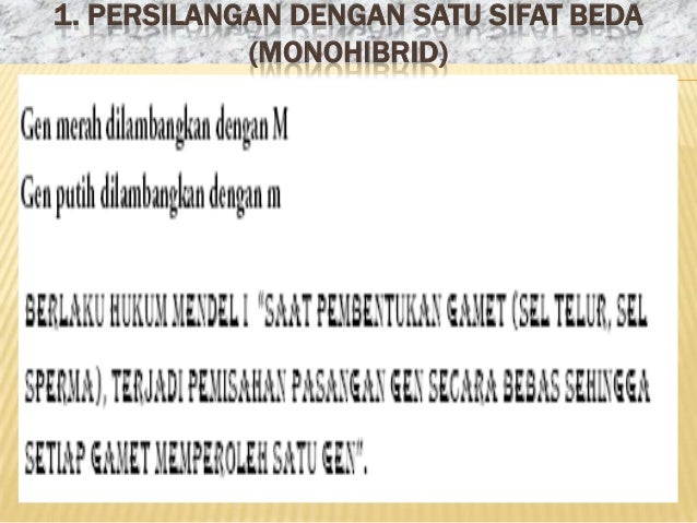 Pewarisan Sifat