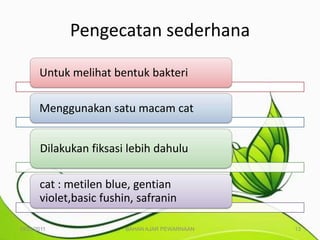Pengecatan sederhana

       Untuk melihat bentuk bakteri

       Menggunakan satu macam cat


       Dilakukan fiksasi lebih dahulu

       cat : metilen blue, gentian
       violet,basic fushin, safranin

10/25/2011               BAHAN AJAR PEWARNAAN   13
 