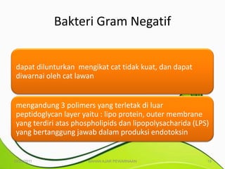 Bakteri Gram Negatif


 dapat dilunturkan mengikat cat tidak kuat, dan dapat
 diwarnai oleh cat lawan


 mengandung 3 polimers yang terletak di luar
 peptidoglycan layer yaitu : lipo protein, outer membrane
 yang terdiri atas phospholipids dan lipopolysacharida (LPS)
 yang bertanggung jawab dalam produksi endotoksin


10/25/2011             BAHAN AJAR PEWARNAAN                19
 