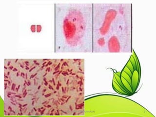 10/25/2011   BAHAN AJAR PEWARNAAN   21
 