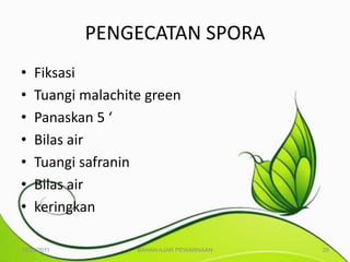 PENGECATAN SPORA
•   Fiksasi
•   Tuangi malachite green
•   Panaskan 5 ‘
•   Bilas air
•   Tuangi safranin
•   Bilas air
•   keringkan

10/25/2011         BAHAN AJAR PEWARNAAN   29
 