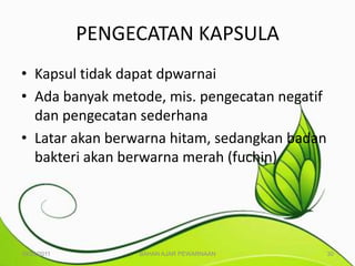 PENGECATAN KAPSULA
• Kapsul tidak dapat dpwarnai
• Ada banyak metode, mis. pengecatan negatif
  dan pengecatan sederhana
• Latar akan berwarna hitam, sedangkan badan
  bakteri akan berwarna merah (fuchin)




10/25/2011        BAHAN AJAR PEWARNAAN         30
 