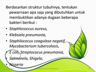 Berdasarkan struktur tubuhnya, tentukan
  pewarnaan apa saja yang dibutuhkan untuk
  membuktikan adanya dugaan beberapa
  bakteri berikut :
• Staphlococcus aureus,
• Klebsiela pneumonia,
• Staphilococus coagulase negatif,
  Mycobacterium tubercolosis,
• E coli, Streptococus pneumonia,
• Salmonela, Shigela,
• Nisseria
10/25/2011      BAHAN AJAR PEWARNAAN         34
 