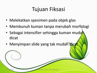 Tujuan Fiksasi
• Melekatkan spesimen pada objek glas
• Membunuh kuman tanpa merubah morfologi
• Sebagai intensifier sehingga kuman mudah
  dicat
• Menyimpan slide yang tak mudah dicat




10/25/2011      BAHAN AJAR PEWARNAAN         7
 