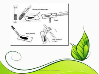 10/25/2011   BAHAN AJAR PEWARNAAN   8
 