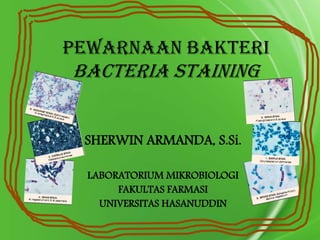 Pewarnaan bakteri

Bacteria staining
SHERWIN ARMANDA, S.Si.
LABORATORIUM MIKROBIOLOGI
FAKULTAS FARMASI
UNIVERSITAS HASANUDDIN

 