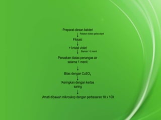 Preparat olesan bakteri
Ratakan diatas gelas objek

Fiksasi
+ kristal violet
Biarkan 1-2 menit

Panaskan diatas penangas air
selama 1 menit
Bilas dengan CuSO4
Keringkan dengan kertas
saring
Amati dibawah mikroskop dengan perbesaran 10 x 100

 