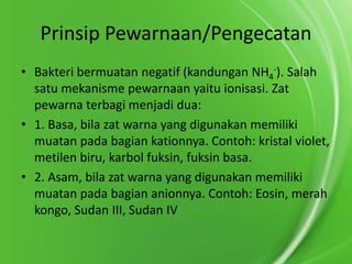 Prinsip Pewarnaan/Pengecatan
• Bakteri bermuatan negatif (kandungan NH4-). Salah
satu mekanisme pewarnaan yaitu ionisasi. Zat
pewarna terbagi menjadi dua:
• 1. Basa, bila zat warna yang digunakan memiliki
muatan pada bagian kationnya. Contoh: kristal violet,
metilen biru, karbol fuksin, fuksin basa.
• 2. Asam, bila zat warna yang digunakan memiliki
muatan pada bagian anionnya. Contoh: Eosin, merah
kongo, Sudan III, Sudan IV

 