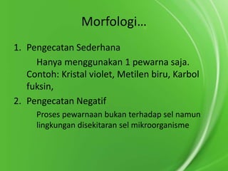 Morfologi…
1. Pengecatan Sederhana
Hanya menggunakan 1 pewarna saja.
Contoh: Kristal violet, Metilen biru, Karbol
fuksin,
2. Pengecatan Negatif
Proses pewarnaan bukan terhadap sel namun
lingkungan disekitaran sel mikroorganisme

 