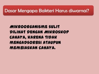 Dasar Mengapa Bakteri Harus diwarnai?


  Mikroorganisme sulit
  dilihat dengan Mikroskop
  Cahaya, karena tidak
  mengadsorbsi ataupun
  membiaskan cahaya.
 