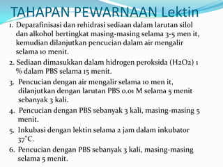 Pewarnaan histokimia | PPTX