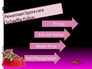 Prinsip

      Alat dan Bahan

     Bagan Kerja

Hasil Pengamatan
 