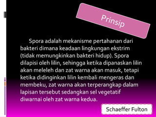 Spora adalah mekanisme pertahanan dari
bakteri dimana keadaan lingkungan ekstrim
(tidak memungkinkan bakteri hidup). Spora
dilapisi oleh lilin, sehingga ketika dipanaskan lilin
akan meleleh dan zat warna akan masuk, tetapi
ketika didinginkan lilin kembali mengeras dan
membeku, zat warna akan terperangkap dalam
lapisan tersebut sedangkan sel vegetatif
diwarnai oleh zat warna kedua.
                                     Schaeffer Fulton
 