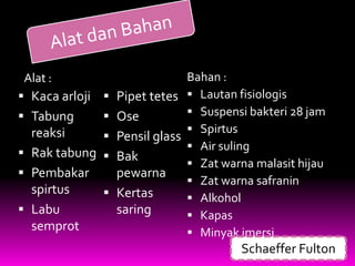 Alat :                      Bahan :
 Kaca arloji  Pipet tetes  Lautan fisiologis
 Tabung       Ose           Suspensi bakteri 28 jam
  reaksi                      Spirtus
               Pensil glass
                              Air suling
 Rak tabung  Bak
                              Zat warna malasit hijau
 Pembakar      pewarna
                              Zat warna safranin
  spirtus      Kertas        Alkohol
 Labu          saring        Kapas
  semprot                     Minyak imersi
                                       Schaeffer Fulton
 