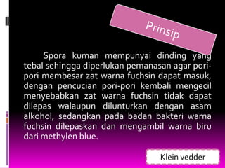 Spora kuman mempunyai dinding yang
tebal sehingga diperlukan pemanasan agar pori-
pori membesar zat warna fuchsin dapat masuk,
dengan pencucian pori-pori kembali mengecil
menyebabkan zat warna fuchsin tidak dapat
dilepas walaupun dilunturkan dengan asam
alkohol, sedangkan pada badan bakteri warna
fuchsin dilepaskan dan mengambil warna biru
dari methylen blue.

                                 Klein vedder
 