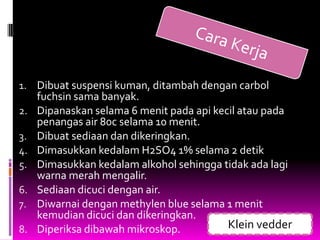 1. Dibuat suspensi kuman, ditambah dengan carbol
     fuchsin sama banyak.
2.   Dipanaskan selama 6 menit pada api kecil atau pada
     penangas air 80c selama 10 menit.
3.   Dibuat sediaan dan dikeringkan.
4.   Dimasukkan kedalam H2SO4 1% selama 2 detik
5.   Dimasukkan kedalam alkohol sehingga tidak ada lagi
     warna merah mengalir.
6.   Sediaan dicuci dengan air.
7.   Diwarnai dengan methylen blue selama 1 menit
     kemudian dicuci dan dikeringkan.
8.   Diperiksa dibawah mikroskop.          Klein vedder
 