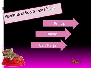Prinsip

    Bahan

Cara Kerja
 