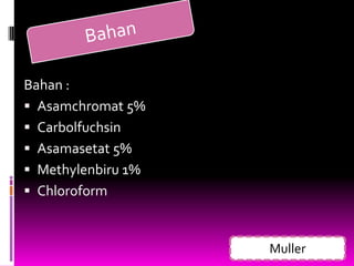 Bahan :
 Asamchromat 5%
 Carbolfuchsin
 Asamasetat 5%
 Methylenbiru 1%
 Chloroform



                    Muller
 