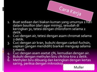 1. Buat sediaan dari biakan kuman yang umurnya 2 hari
   dalam bouillon (dari agar miring), sesudah di
   keringkan 3x, tetesi dengan chloroform selama 2
   detik.
2. Cuci dengan air, tetesi dengan asam chromat selama
   2 detik.
3. Cuci dengan air kran, bubuhi dengan carbol-fuchsin,
   uapkan (jangan mendidih) biarkan menguap selama
   5 menit.
4. Cuci dengan asam asetat 5%, kemudian dengan air.
5. Bubuhi dengan methylen biru 1% kira-kira 2 detik.
6. Methylen biru dibuang dan keringkan dengan kertas
   saring, periksa dengan mikroskop.
                                            Muller
 