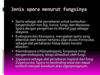 Jenis spora menurut fungsinya

 Spora sebagai alat persebaran untuk tumbuhan
  berpembuluh non-biji, lumut, fungi, dan Myxozoa.
  Spora dengan pengertian ini dikenal juga sebagai
  diaspora.
 Endospora dan Eksospora, merupakan spora yang
  dibentuk oleh bakteri tertentu (dari divisio Firmicuta)
  sebagai alat pertahanan hidup dalam kondisi
  ekstrem.
 Klamidospora (chlamydospore), fungsinya mirip
  dengan endospora, tetapi dihasilkan oleh fungi.
 Zigospora sebagai alat persebaran haploid dari fungi
  Zygomycota. Spora ini berdinding tebal dan dapat
  tumbuh menjadi konidium atau zigosporagnium.
 