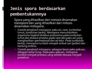 Jenis spora berdasarkan
pembentukannnya
 Spora yang dihasilkan dari meiosis dinamakan
 meiospora dan yang dihasilkan dari mitosis
 dinamakan mitospora.
  Contoh penghasil meiospora: paku air, rane, tumbuhan
   lumut, tumbuhan berbiji. Meiospora menumbuhkan
   organisme haploid (disebut protonema pada tumbuhan
   lumut dan disebut protalus pada rane dan paku air) yang
   menghasilkan spermatozoid dan sel telur. Pada tumbuhan
   berbiji, meiospora tumbuh menjadi serbuk sari (pollen) dan
   kantung embrio.
  Contoh penghasil mitospora: sebagian besar paku-pakuan,
   sebagian besar fungi. Pada paku-pakuan, mitospora
   tumbuh menjadi protalus yang setelah dewasa menjadi
   protalium.
 
