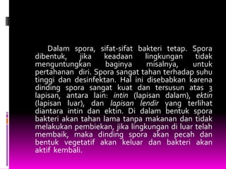 Dalam spora, sifat-sifat bakteri tetap. Spora
dibentuk,    jika   keadaan     lingkungan   tidak
menguntungkan       baginya      misalnya,  untuk
pertahanan diri. Spora sangat tahan terhadap suhu
tinggi dan desinfektan. Hal ini disebabkan karena
dinding spora sangat kuat dan tersusun atas 3
lapisan, antara lain: intin (lapisan dalam), ektin
(lapisan luar), dan lapisan lendir yang terlihat
diantara intin dan ektin. Di dalam bentuk spora
bakteri akan tahan lama tanpa makanan dan tidak
melakukan pembiekan, jika lingkungan di luar telah
membaik, maka dinding spora akan pecah dan
bentuk vegetatif akan keluar dan bakteri akan
aktif kembali.
 