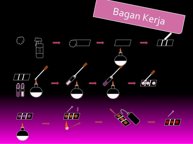 Pewarnaan Spora Pada Bakteri Kelas 11 5