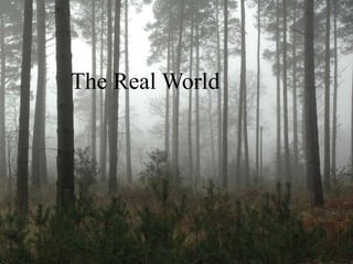 The Real World
 