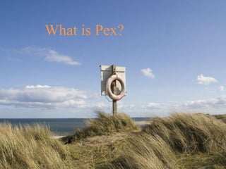 What is Pex?
 