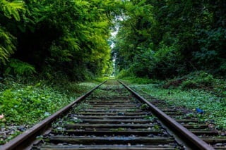 Railway and nature