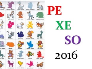 PE
XE
SO
2016
 