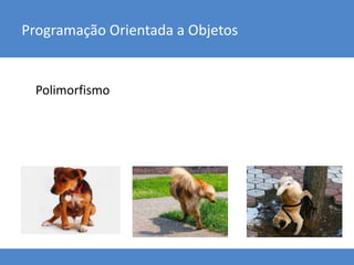Polimorfismo
Programação Orientada a Objetos
 