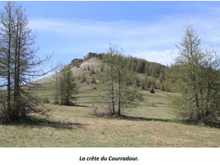 La crête du Courradour.
 