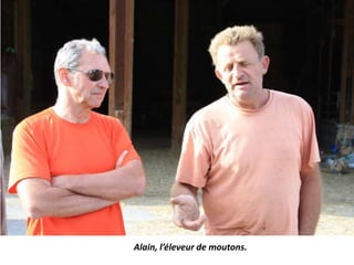 Alain, l’éleveur de moutons.
 