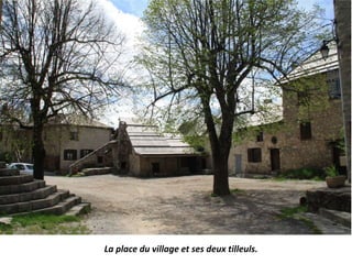 La place du village et ses deux tilleuls.
 