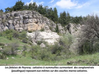 Les falaises de Peyresq : calcaires à nummulites surmontant des conglomérats
(poudingue) reposant eux-mêmes sur des couches marno-calcaires.
 