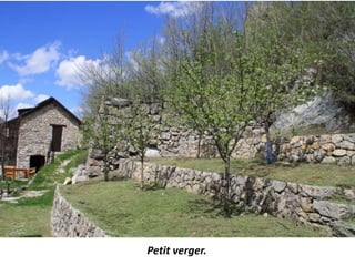 Petit verger.
 