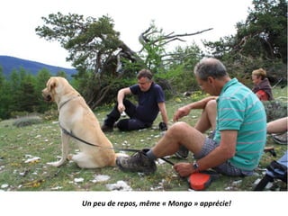Un peu de repos, même « Mongo » apprécie!
 