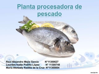 Planta procesadora de
pescado
Raul Alejandro Mejía García N°11300627
Lourdes Ivette Padilla López N° 11300748
María Aketzaly Radilla de la Cruz N°11300804
 