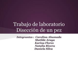 Trabajo de laboratorio
 Disección de un pez
 Integrantes : Carolina Ahumada
               Matilde Araya
               Karina Flores
               Natalia Rivera
              Daniela Silva
 