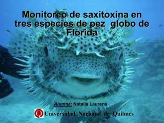 Monitoreo de saxitoxina en
tres especies de pez globo de
            Florida




         Alumna: Natalia Laurens

      Universidad Nacional de Quilmes
 