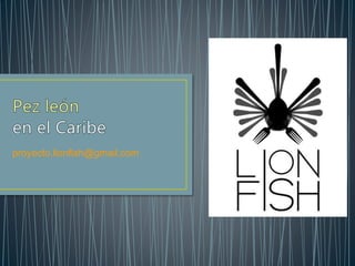 proyecto.lionfish@gmail.com
 