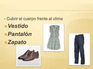 - Cubrir el cuerpo frente al clima
Vestido
Pantalón
Zapato