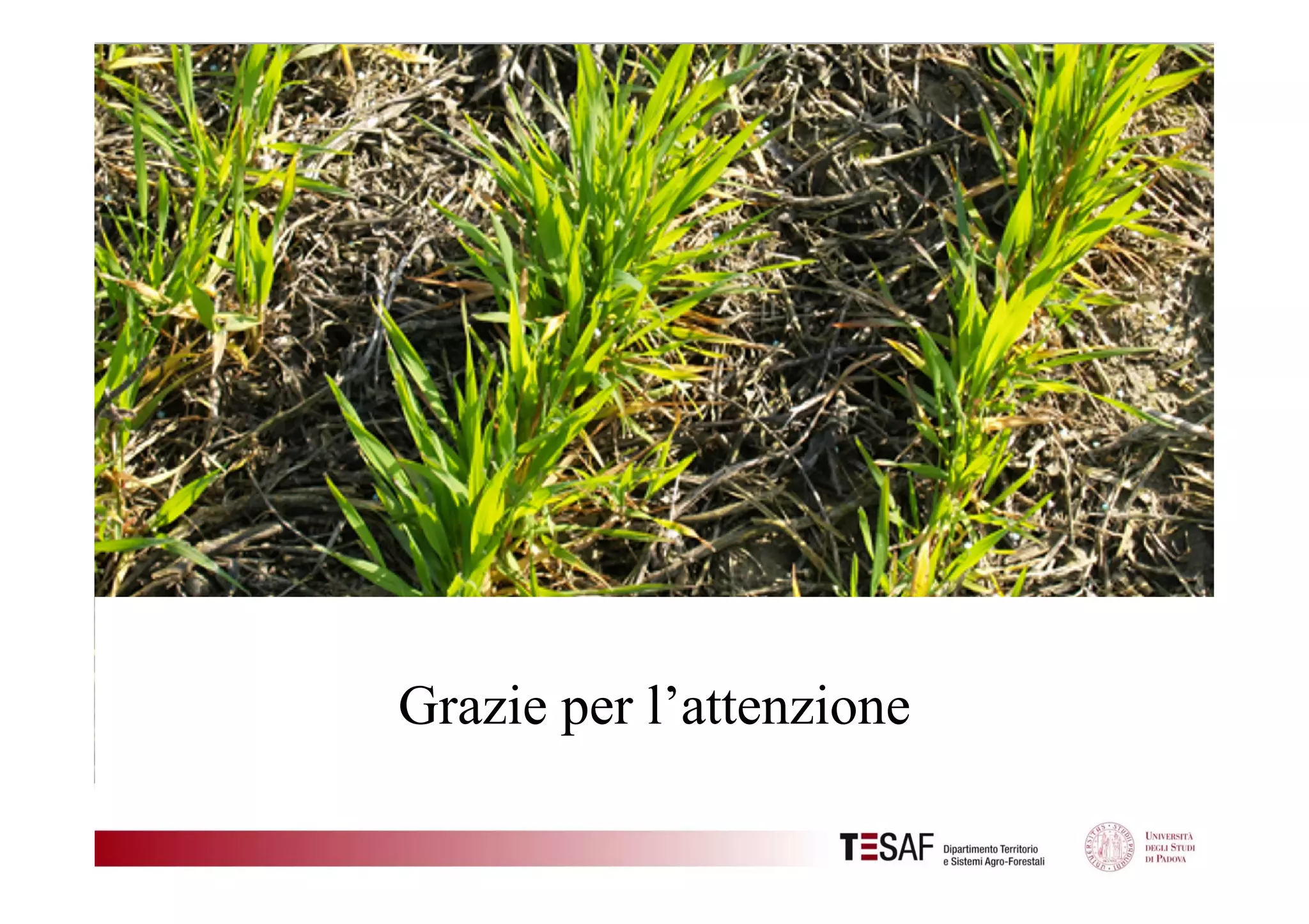 Grazie per l’attenzione

 