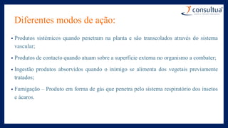 Diferentes modos de ação:
• Produtos sistémicos quando penetram na planta e são transcolados através do sistema
vascular;
• Produtos de contacto quando atuam sobre a superfície externa no organismo a combater;
• Ingestão produtos absorvidos quando o inimigo se alimenta dos vegetais previamente
tratados;
• Fumigação – Produto em forma de gás que penetra pelo sistema respiratório dos insetos
e ácaros.
 