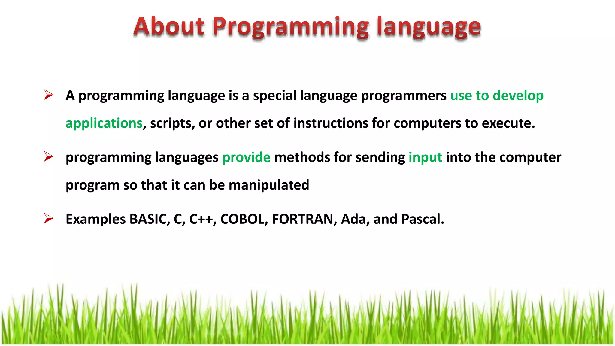  A programming language is a special language programmers use to develop applications, scripts, or other set of instructions for computers to execute.  programming languages provide methods for sending input into the computer program so that it can be manipulated  Examples BASIC, C, C++, COBOL, FORTRAN, Ada, and Pascal. 